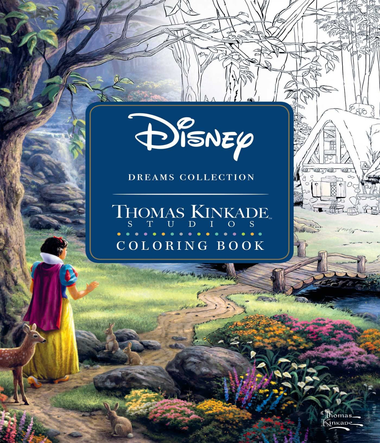Disney dreams coll coloring book sc : Thomas, Kinkade: Amazon